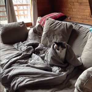 Meet your Posher, Jiordan